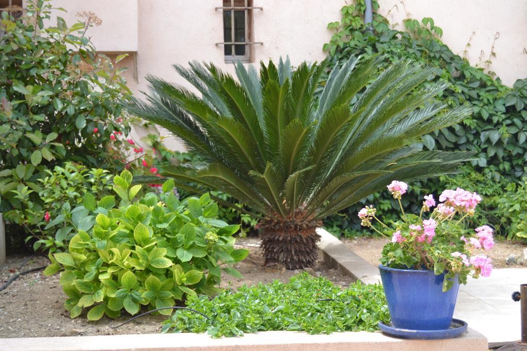 Le Mazet Des Mures Bed & Breakfast
